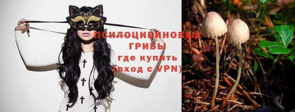 сатива Абаза