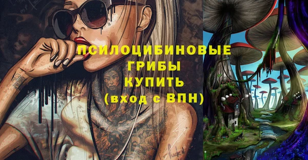 ПСИЛОЦИБИНОВЫЕ ГРИБЫ Россошь